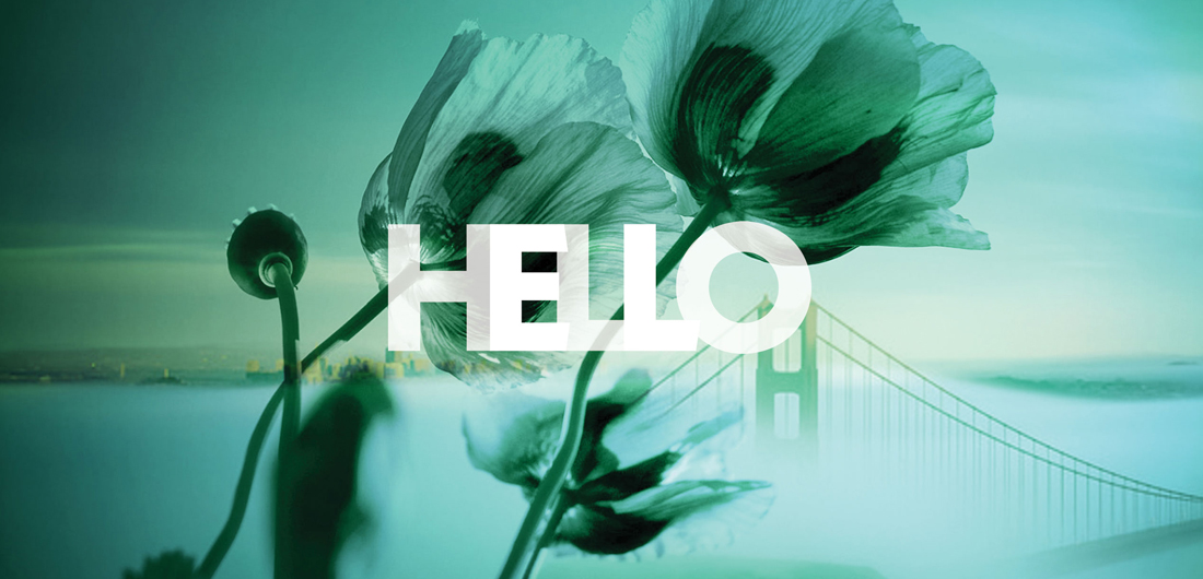 bold typography, double exposure photo with close-up of poppies and wide shot of Golden Gate Bridge in SF