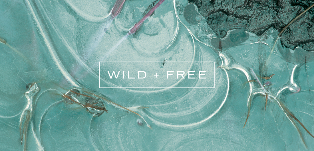wild and free typography design on close up teal turquoise image, Cliff House spa branding agency